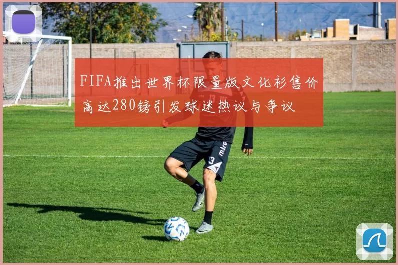 FIFA推出世界杯限量版文化衫售价高达280镑引发球迷热议与争议