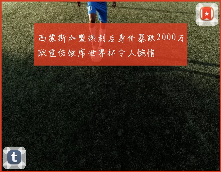 西蒙斯加盟热刺后身价暴跌2000万欧重伤缺席世界杯令人惋惜